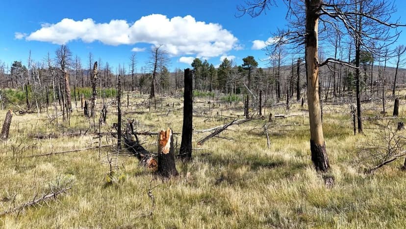  Laker Lane Lot 1131, Ft. Garland, CO 81133