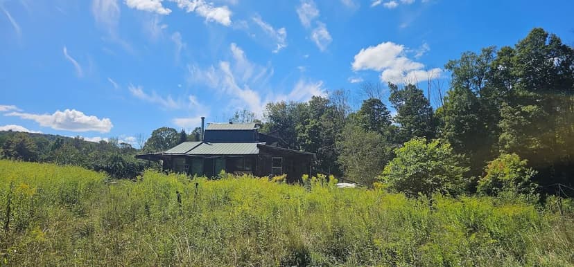 Primitive Homestead with 32 acres in Harford NY 210 Creamery Rd