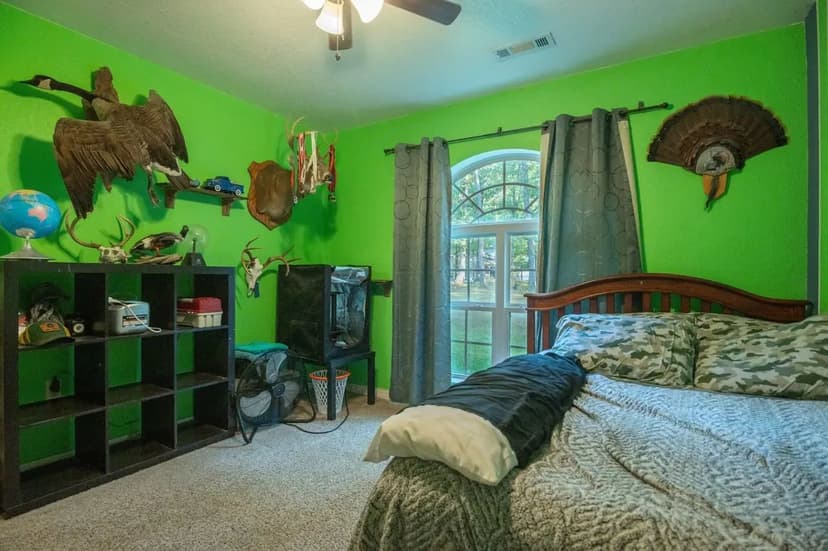 Cozy 3 Bedroom Home on 2.6 acres in Wappapello, MO