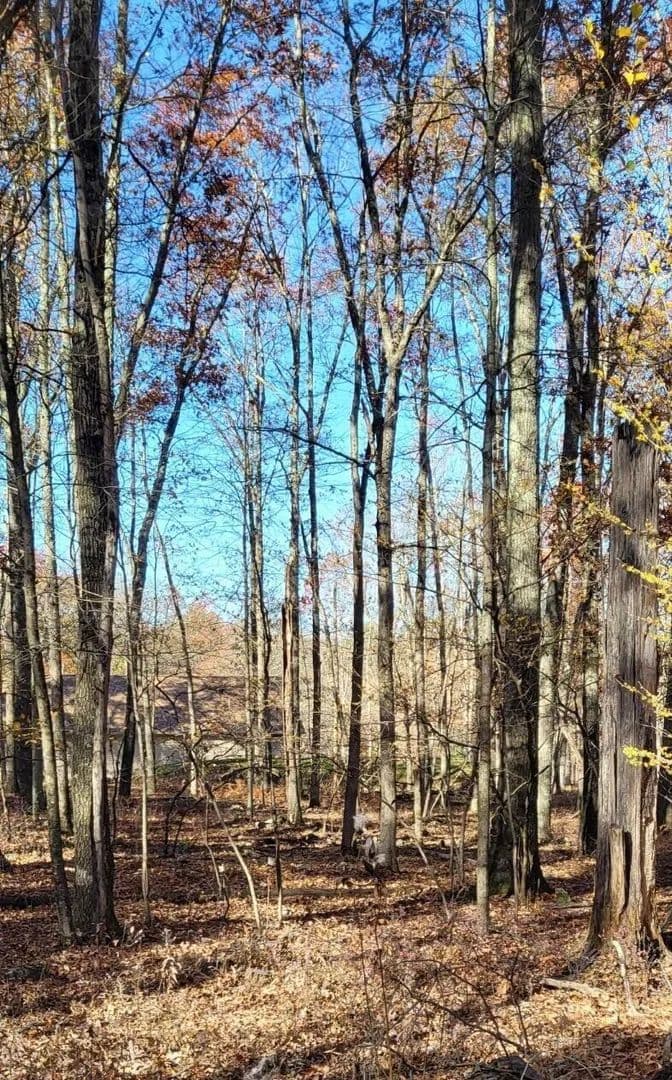 Vacant Land in East Stroudsburg