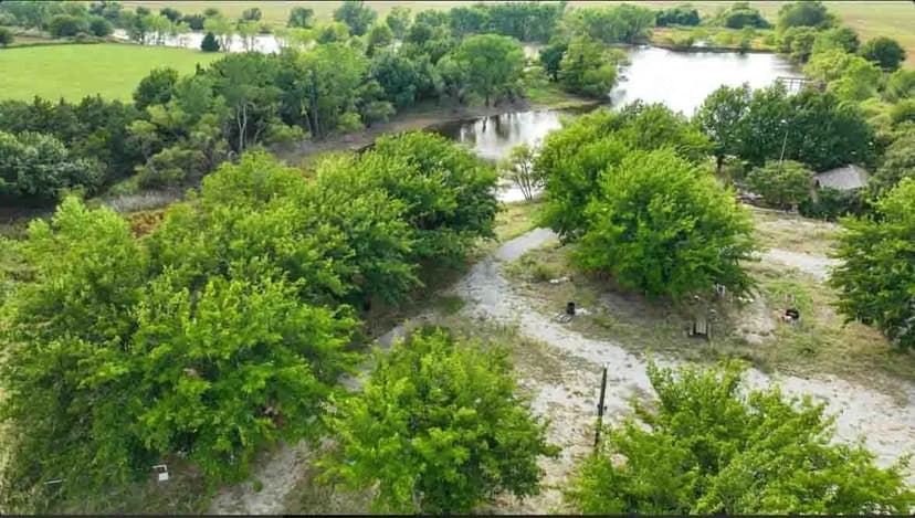 34.92± Acre Recreational Getaway with 7± Acre Pond, Potential Building Site