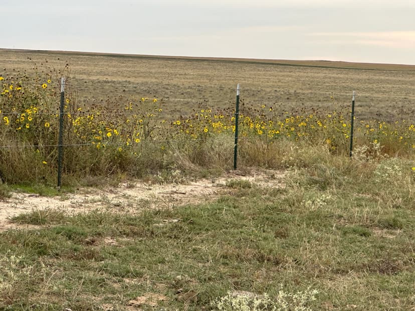 Kit Carson Colorado Farm & Ranch W/Home
