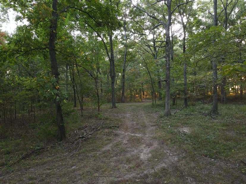 Beautiful 3-Bedroom Barndominium on 35± Acres with Two Ponds for Sale – Washington County