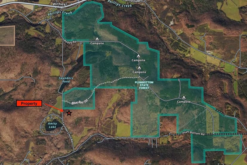 35 acres Hunting Camp bordering State Land in Belmont NY 5218 Saunders Hill Rd