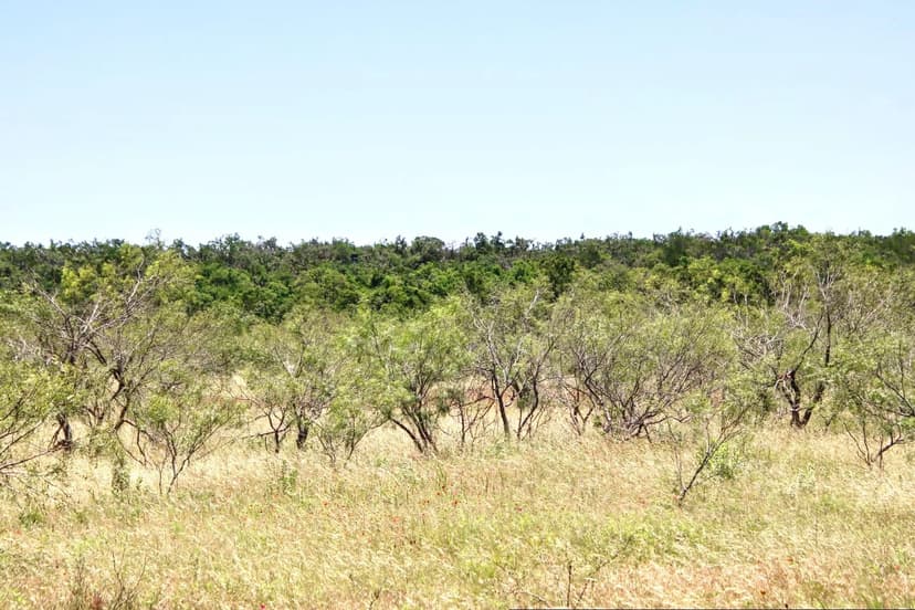 Willow Creek Tract 6