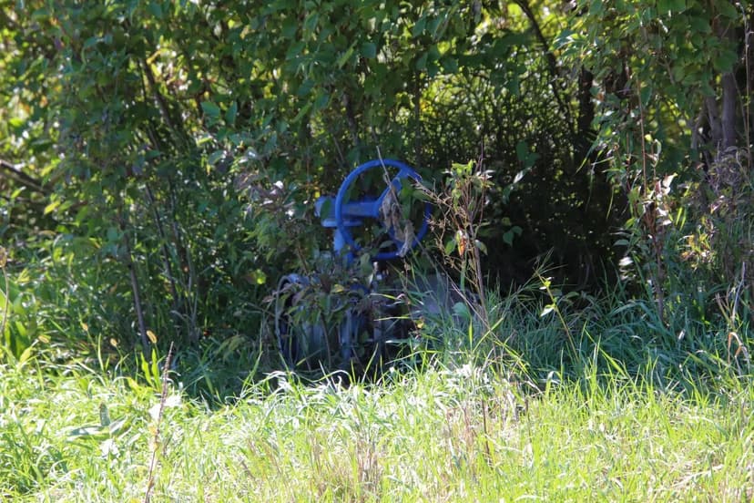 ABSOLUTE ONLINE AUCTION – Nance County Irrigated Farm &amp; Loup River Frontage – Fullerton, NE