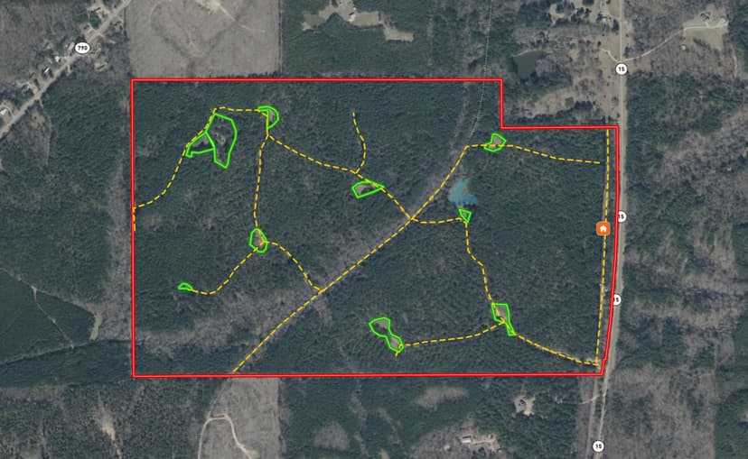 250 Acres in Choctaw County, MS