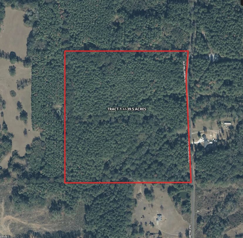 39.5 Acres in Scott County, MS