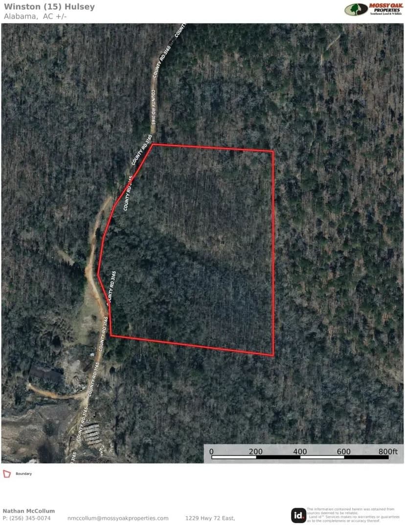 Bankhead National Forest 15