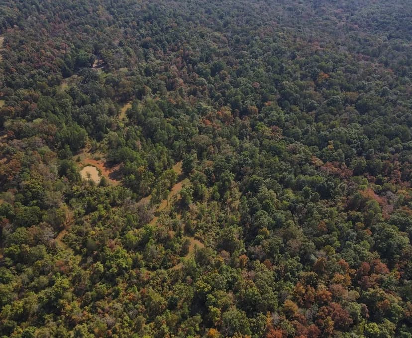 40+/-AC Property with Home in Doniphan, MO