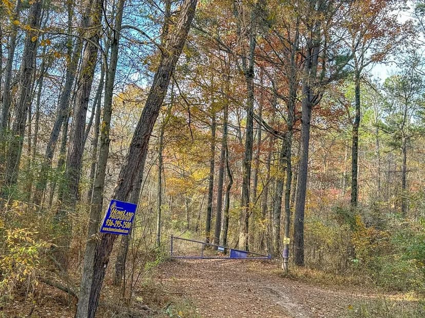 463 Acres | Hwy 67 | Maya 1003