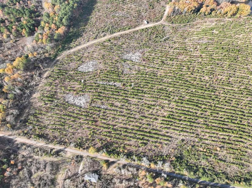 433 Acres | CR 3201 | Maya 1008