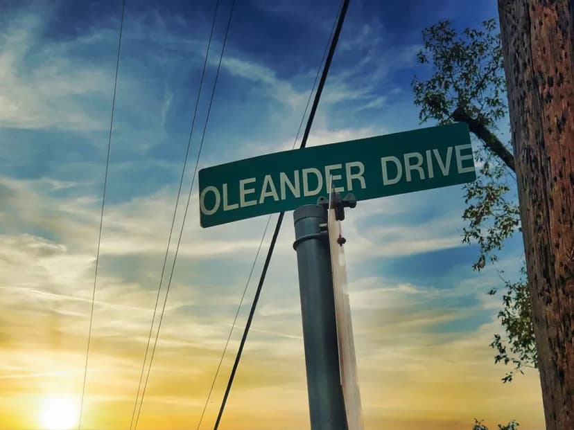 80 Acres | Oleander Drive