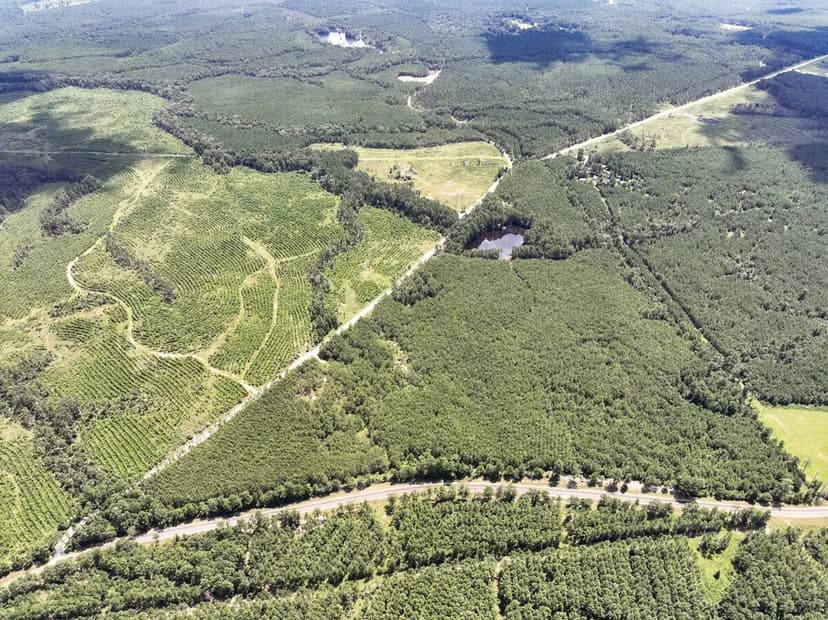 61 Acres | T-17 | Stryker Mill Lake