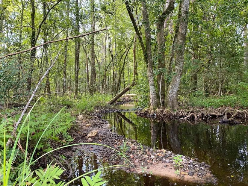 42 Acres | T-1 | Nursery Road