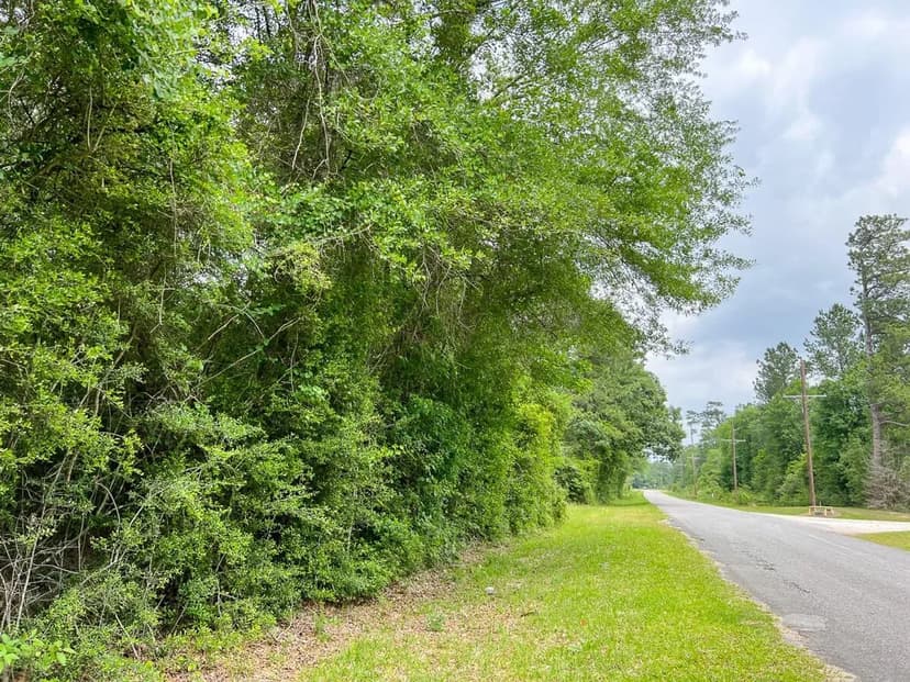 30 Acres | FM 2937 | C-3 | Silsbee Stake