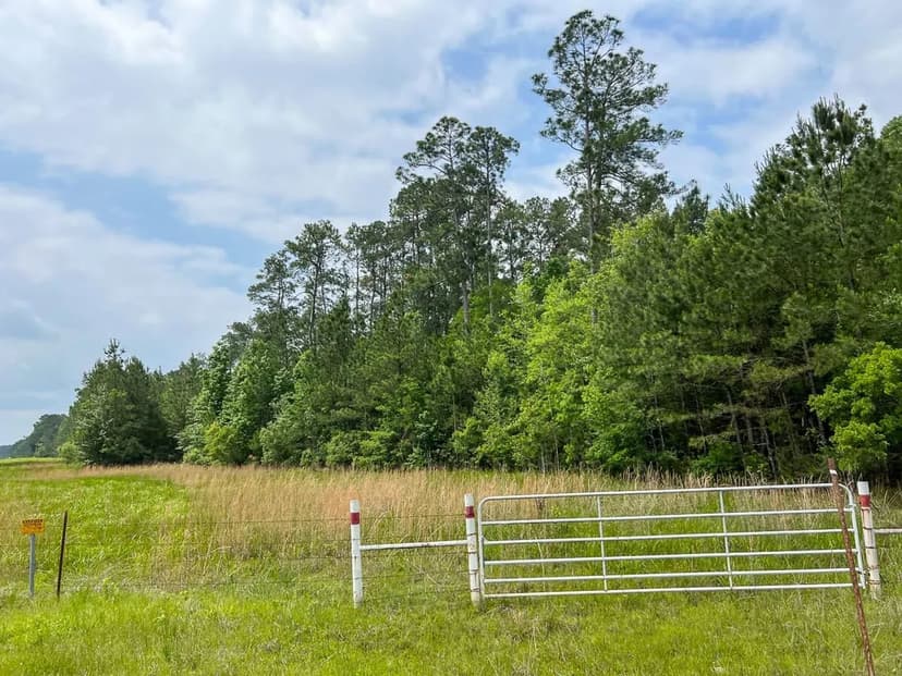47 Acres | Elise Gore Lane | C-5 | Silsbee Stake