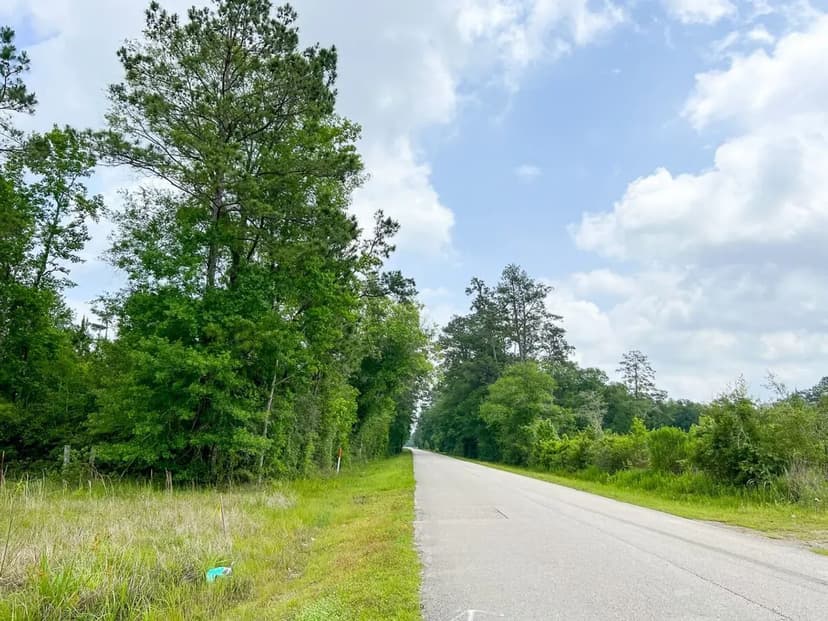 47 Acres | Cravens Camp Rd. | D-2 | Silsbee Stake