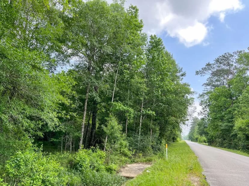 55 Acres | Cravens Camp Rd. | D-3 | Silsbee Stake