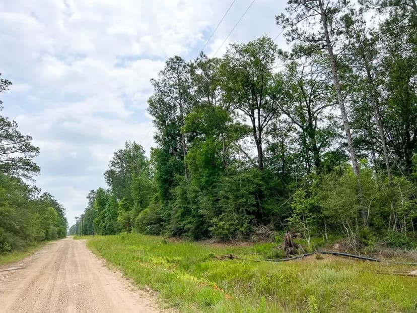 14.5 Acres | FM 2937 | A-6 | Silsbee Stake