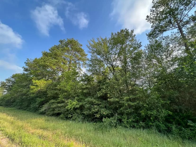 183 Acres | FM 2989 | T-271004-2