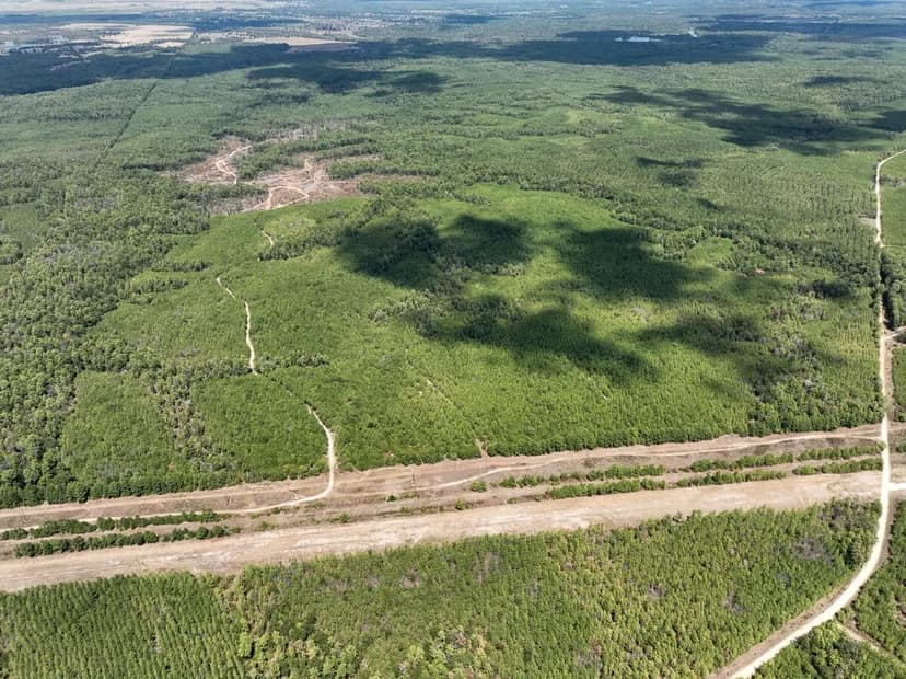 585 Acres | The Game Preserve