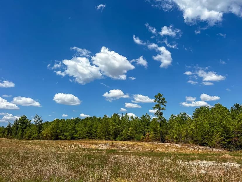 448 Acres | The Game Preserve