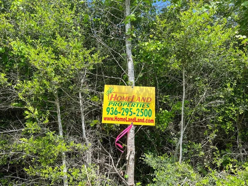 28 Acres | T-25 | CR 2145