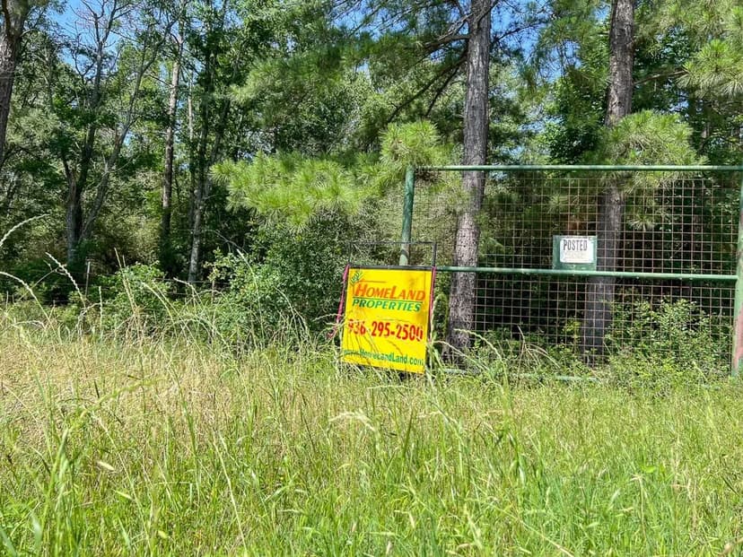 425 Acres | FM 230