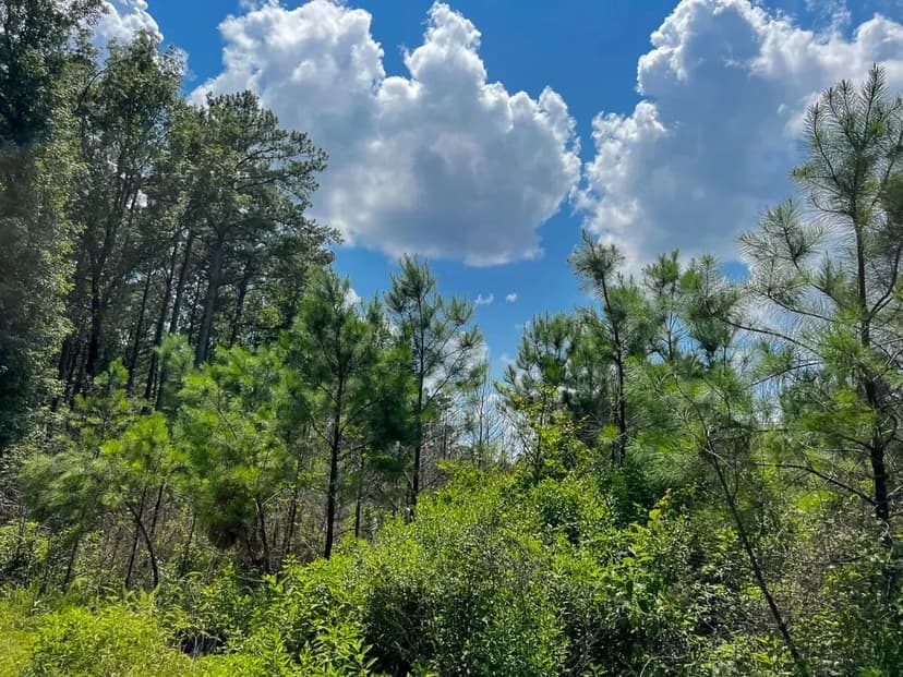 12 Acres | T-1 | Coussons Drive | 1029