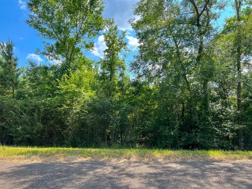 15 Acres | T-5 | State Road 35 | 1018