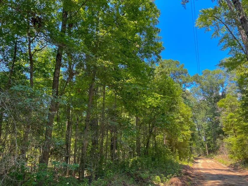 7 Acres | T-3 | New Haven Road | 1022