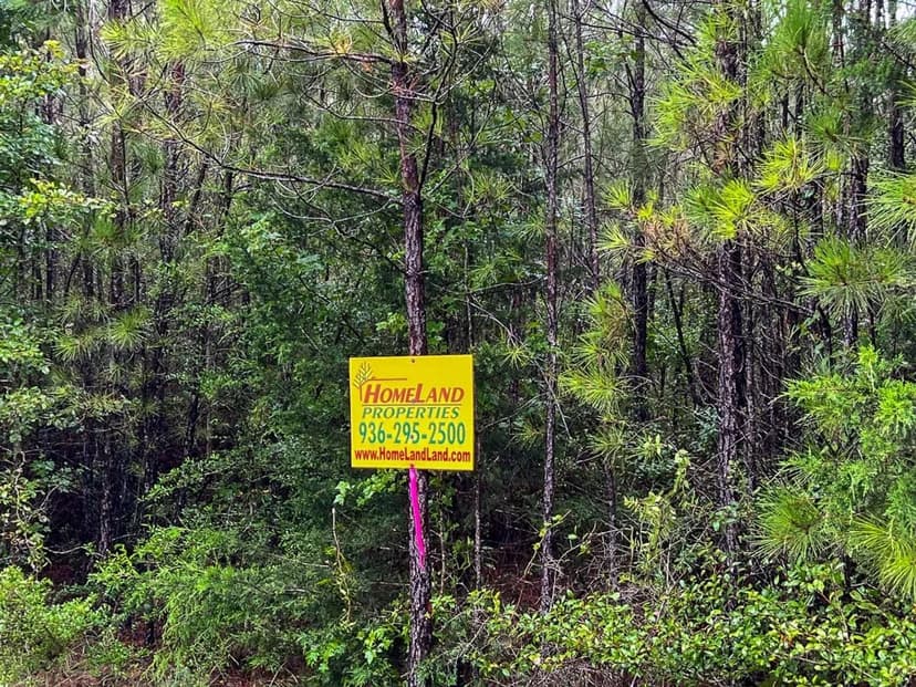 13 Acres | T-1 | FM 1276 | 00011