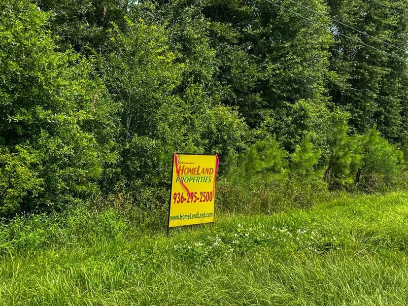 195 Acres | FM 1132 | 01164