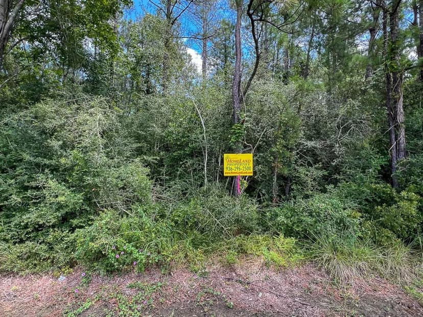 545 Acres | FM 1136 | 01325