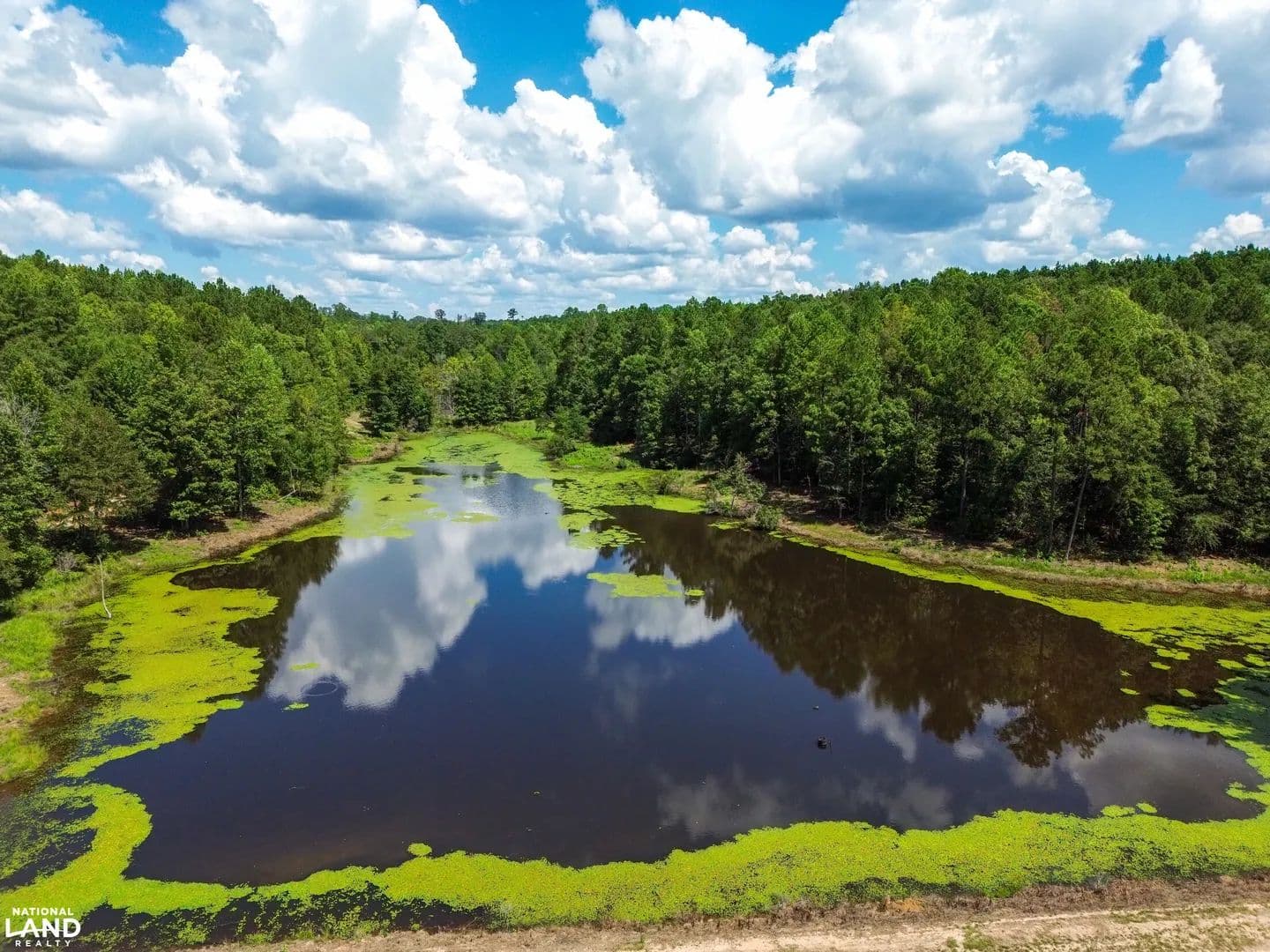 Perry Co Camp Pond Timber and Hunting Tract - Marion, Alabama, 36756