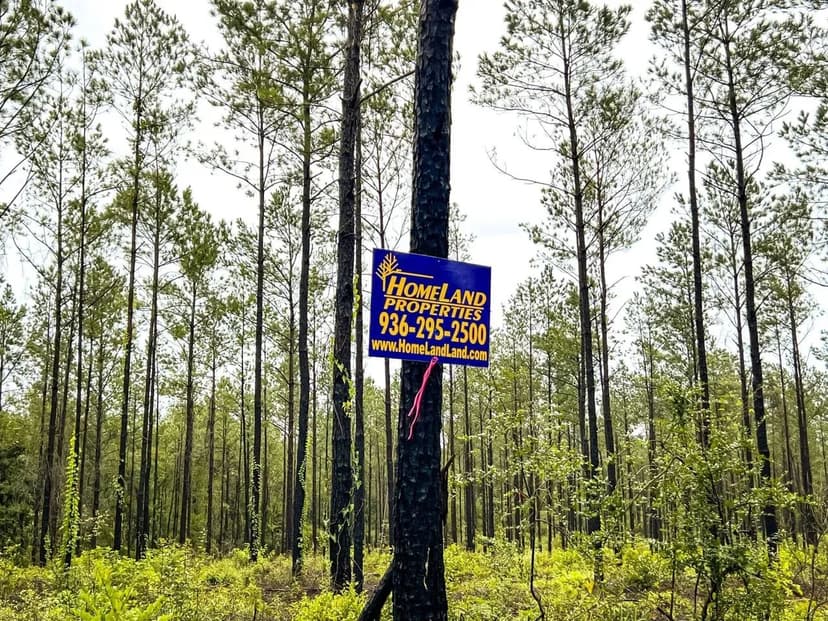 19 Acres | CR 257 &amp; CR 258 | T-3