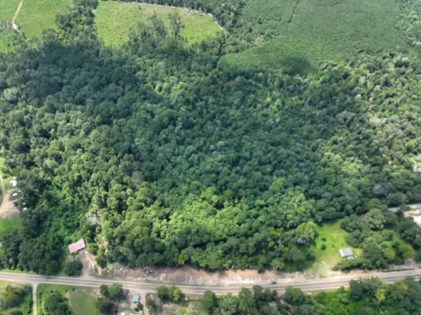 26 Acres | T-1 | Highway 87 | 287010-011