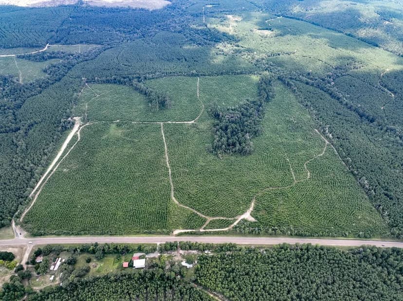 42 Acres | T-5 | Rec Road 255 | 287007