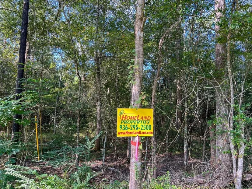 10 Acres | T-6 | FM 1013 &amp; CR 517 | 287052