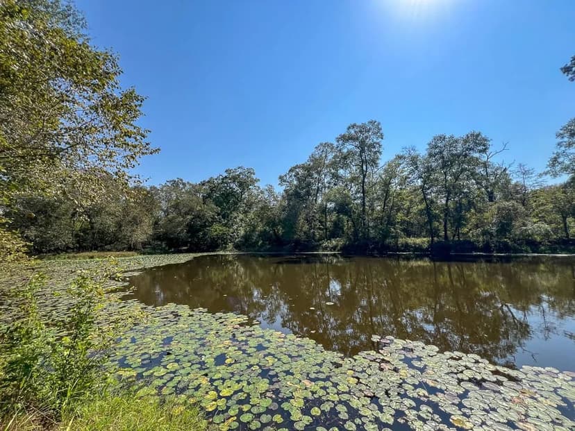 1,726 Acres | Neches River Front