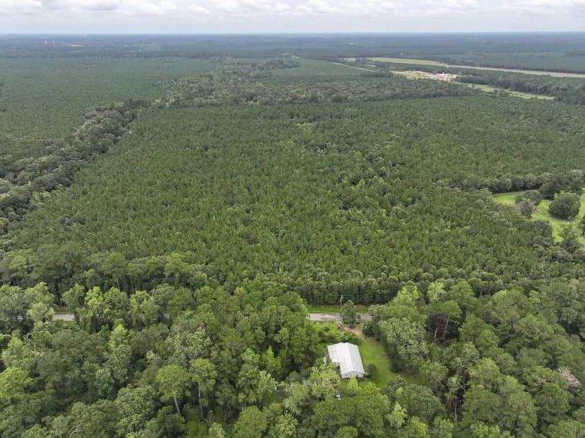 159 Acres | T-2 | CR 2204 | 01286/01287