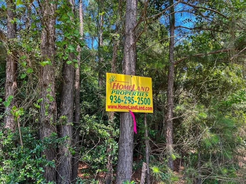 48 Acres | T-3 | Fodice-2 Road