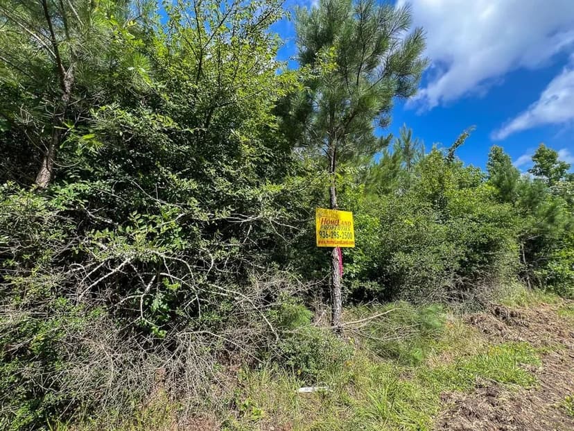 13 Acres | T-1 | FM 942