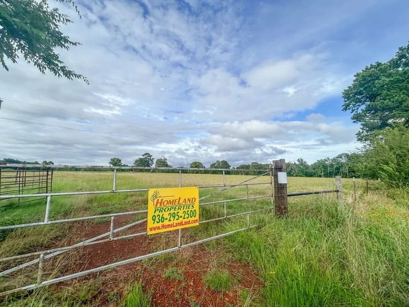 20 Acres | County Road 1224