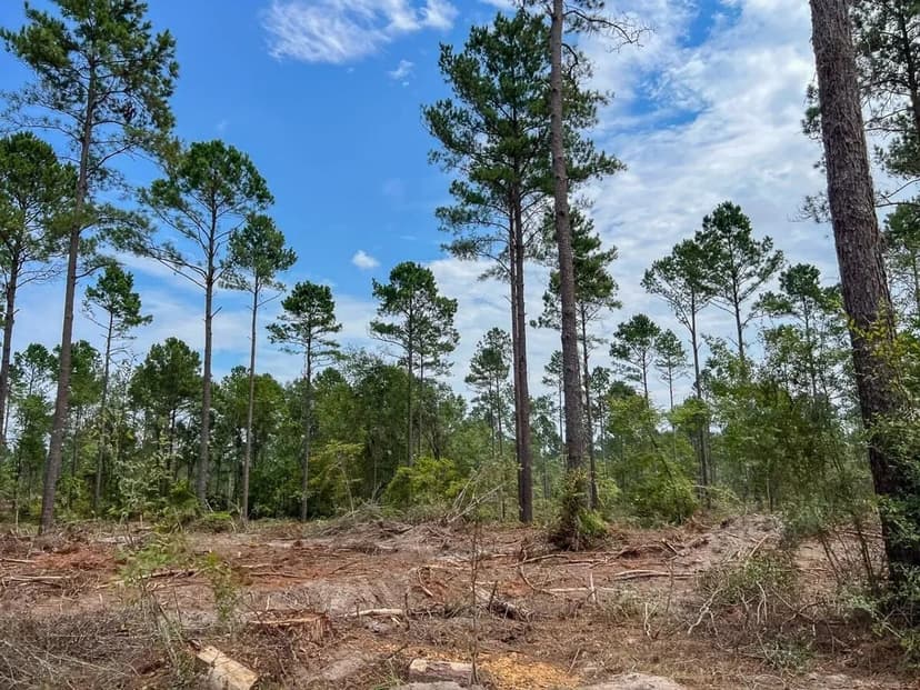 70 Acres | T-33 | Boontown Road | 4552