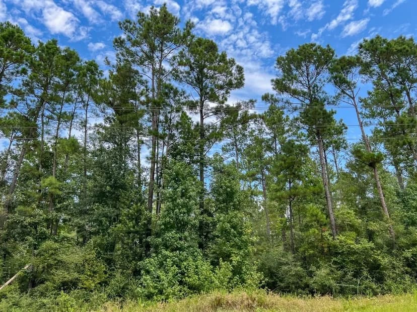 15 Acres | T-38 | Highway 94 | 4552