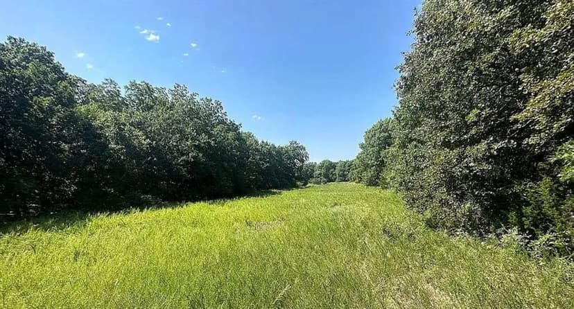 Oklahoma Paradise: 97 Acres with Creek, Wildlife & Utilities