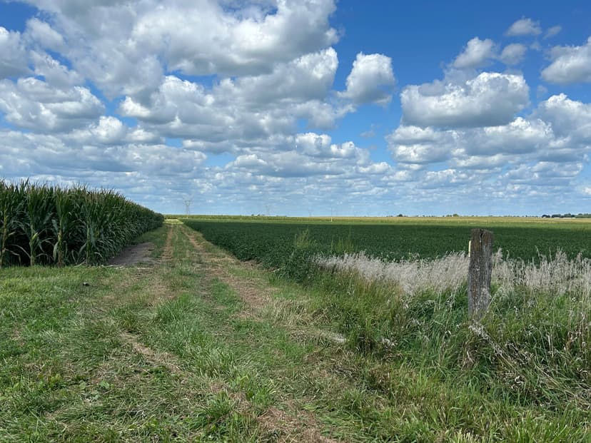 Margaret Lehman Estate | 66.55 Acres Farmland Auction | McLean County, IL