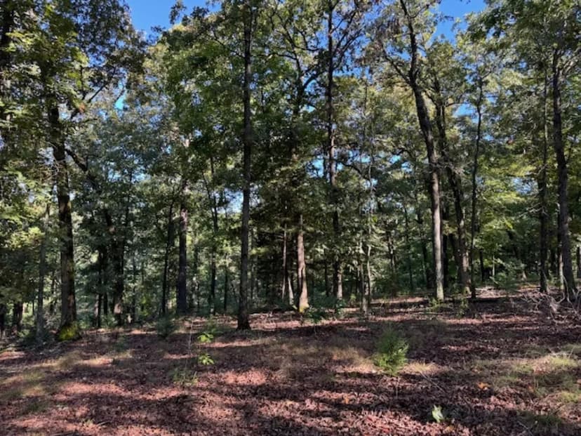 Beautiful Views of Black Bass Lake - 9.28 Acres